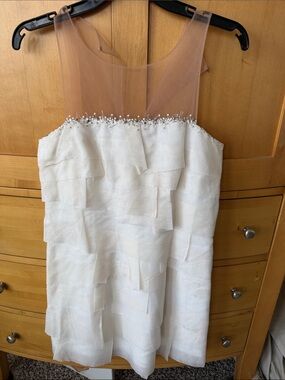 BCBGMaxAzria White Dress with Blush Sheer Bodice